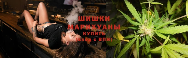 дмт Кодинск