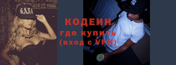 дмт Кодинск