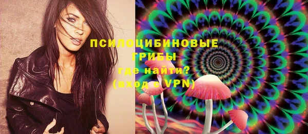 эйфоретик Козельск