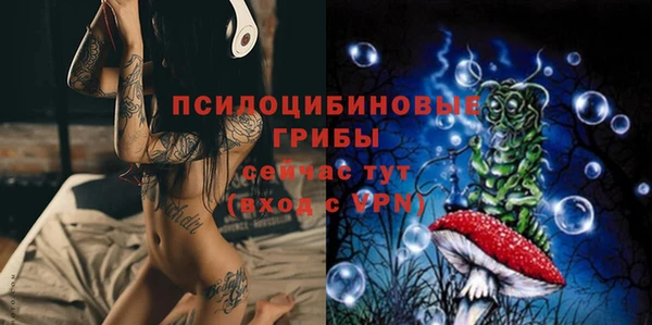 MDMA Premium VHQ Козловка