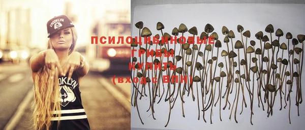 MDMA Premium VHQ Козловка